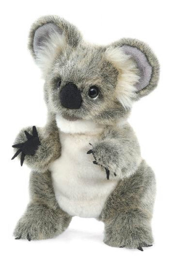 Kiko la bébé koala