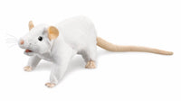 Ricardo le rat blanc