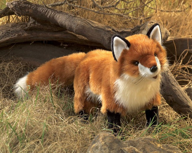 Foxy le renard